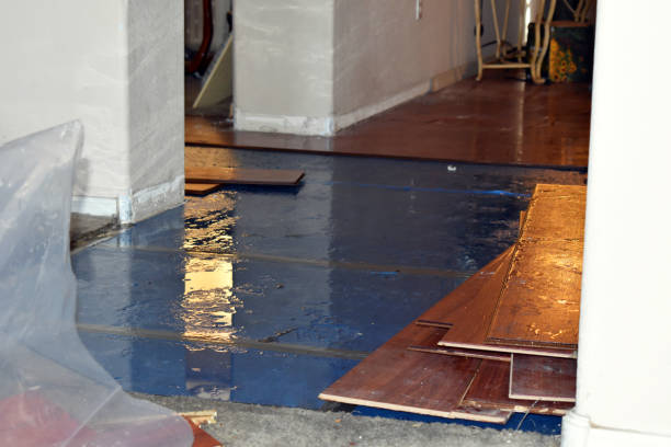Professional Sewage Cleanup technician working in Pentwater, MI
